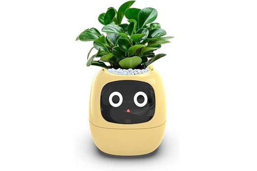 AI Plant Pot